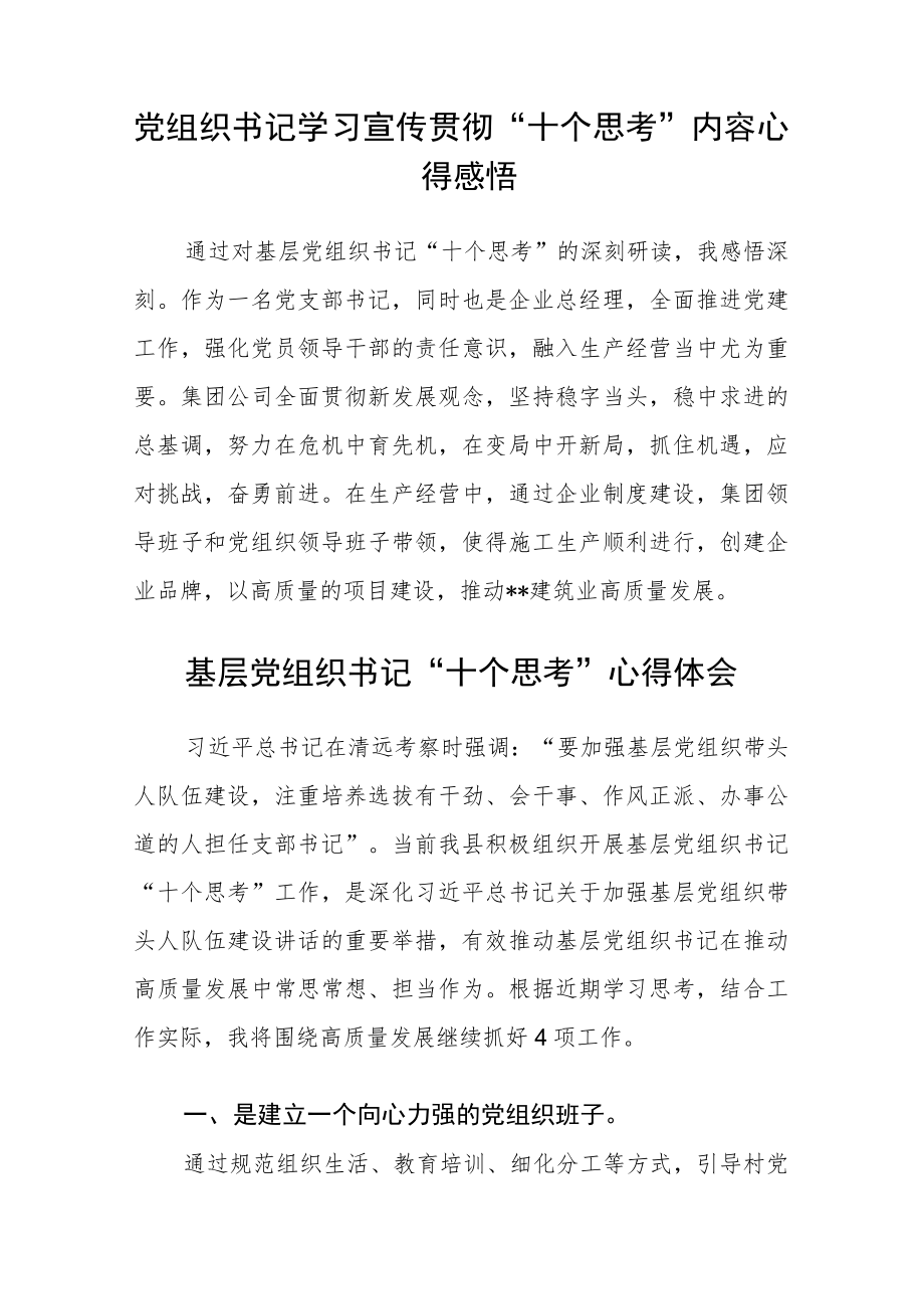 党组织书记学习宣传贯彻“十个思考”内容心得感悟汇编三篇.docx_第2页