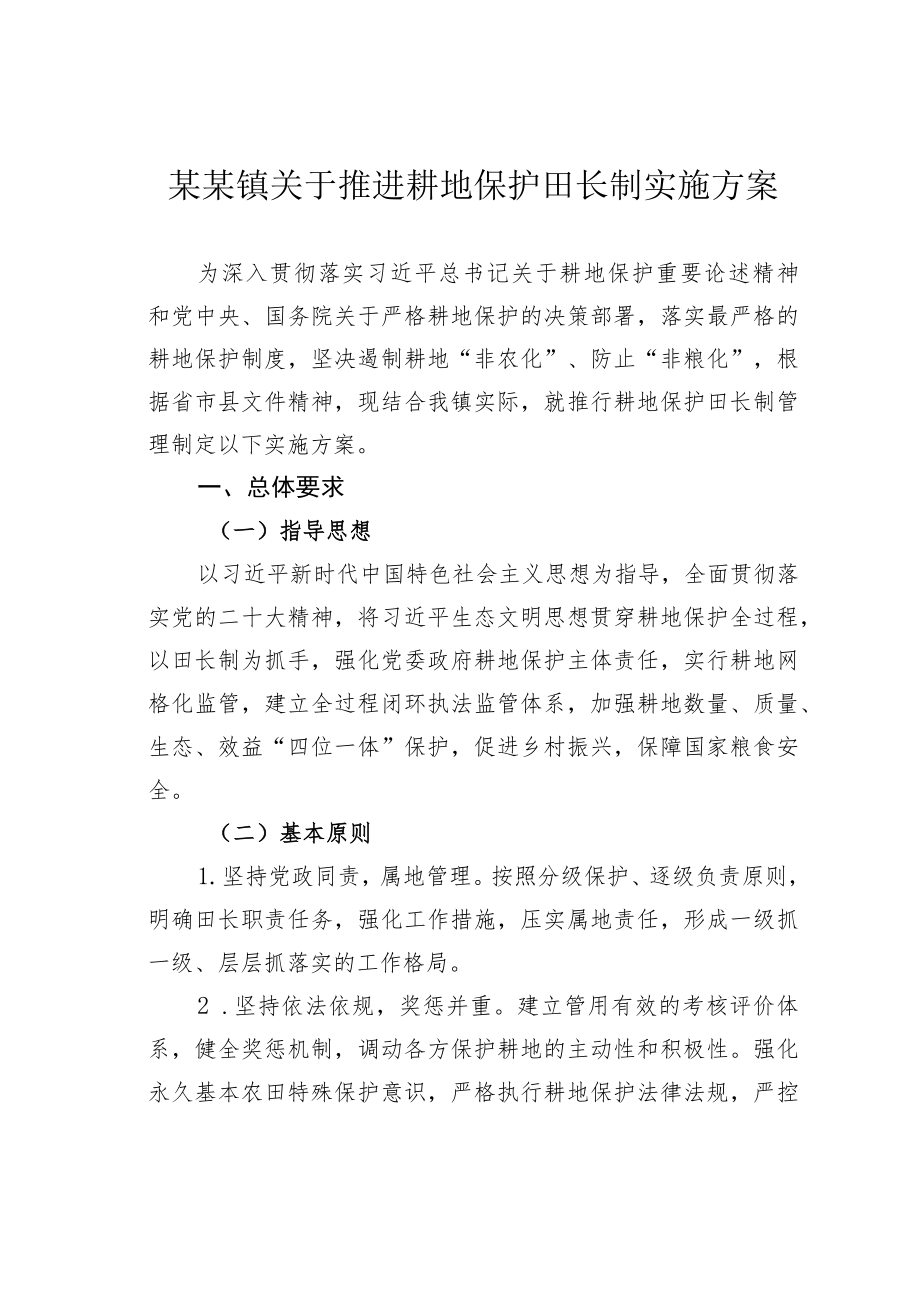 某某镇关于推进耕地保护田长制实施方案.docx_第1页