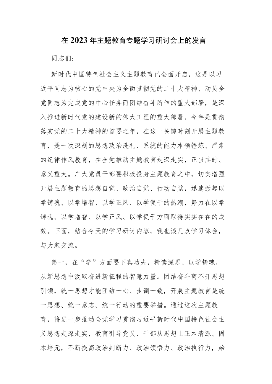 三篇：2023年主题教育专题学习研讨会上的发言材料范文.docx_第1页