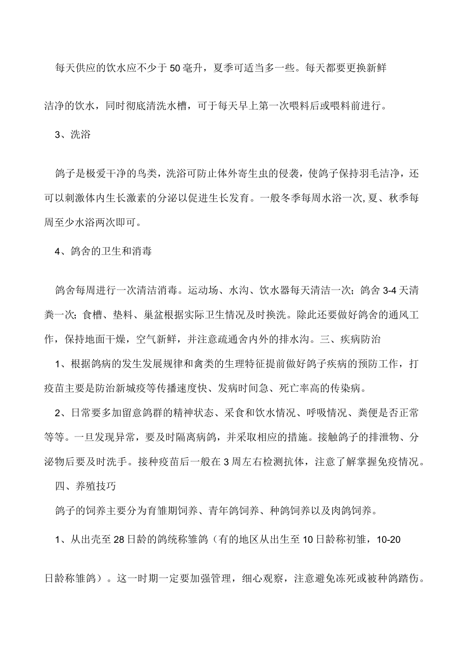 鸽子养殖方法和养殖技巧.docx_第2页