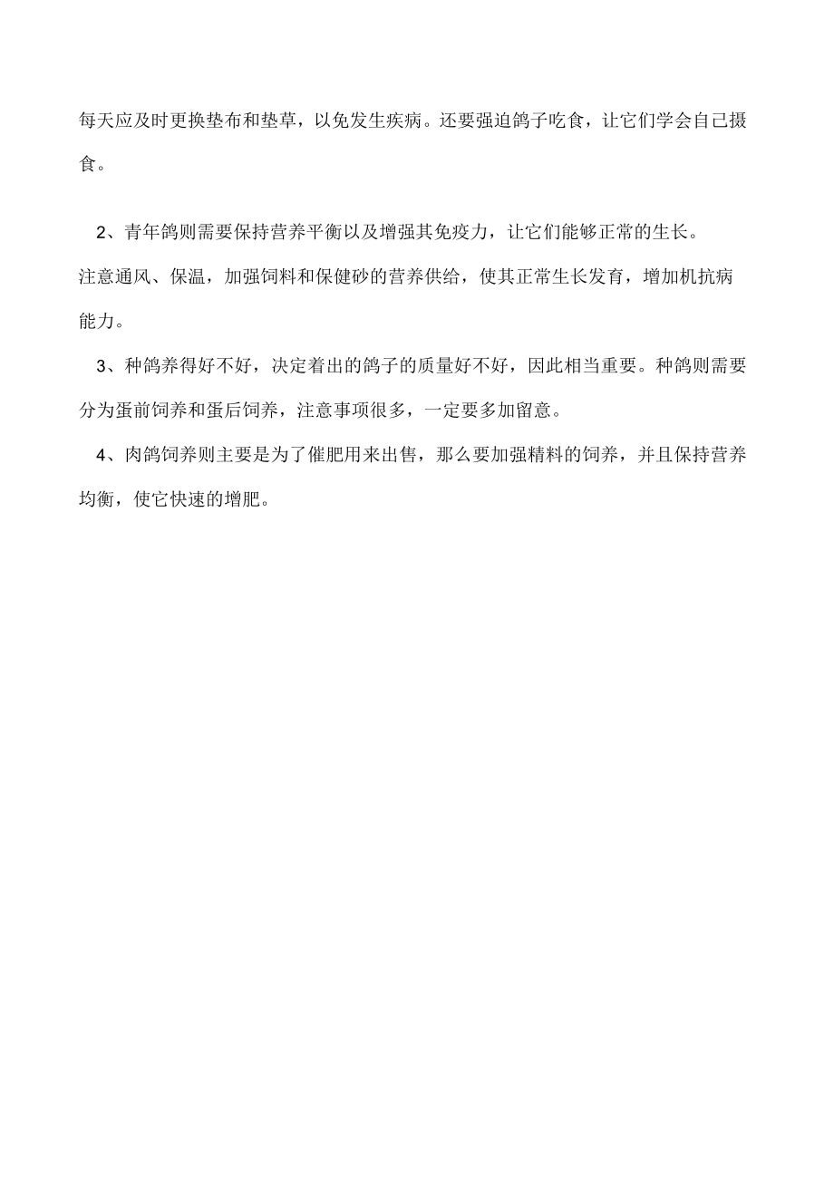 鸽子养殖方法和养殖技巧.docx_第3页