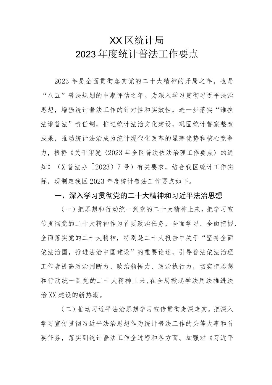 XX区统计局2023年度统计普法工作要点.docx_第1页