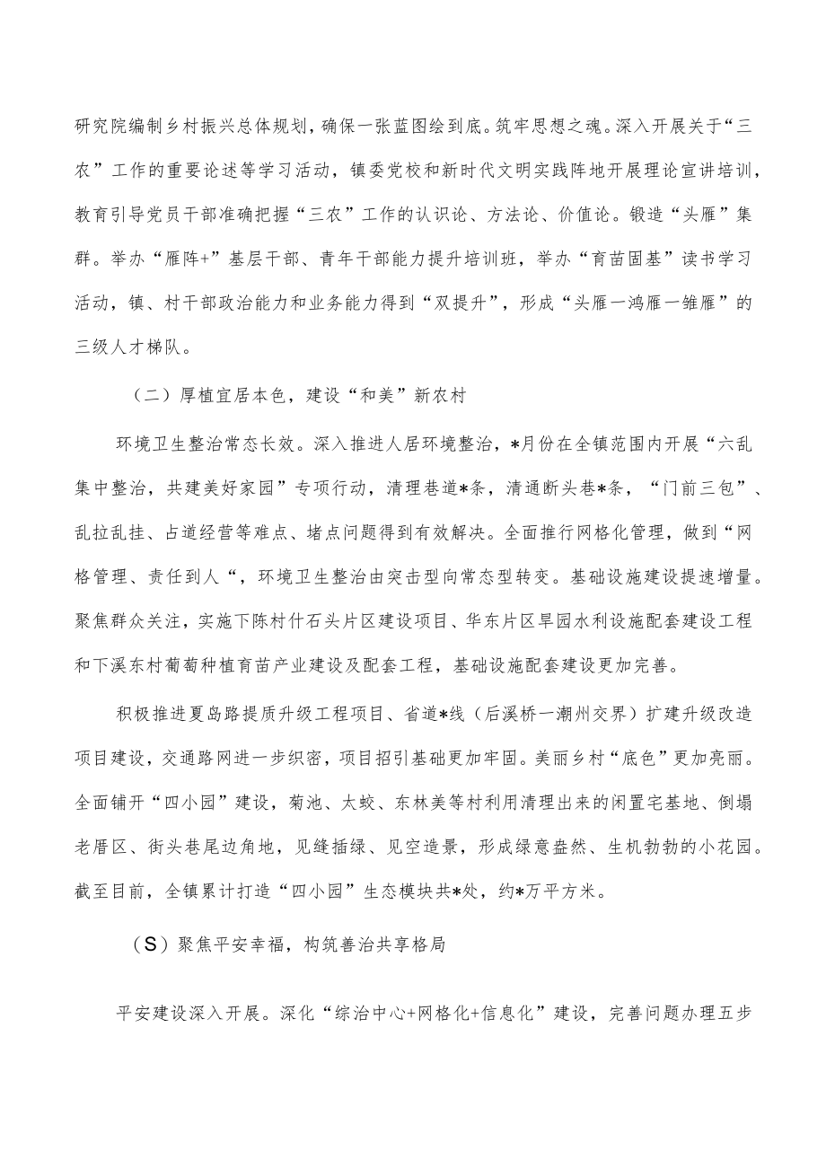 乡镇乡村振兴专项工作总结.docx_第2页