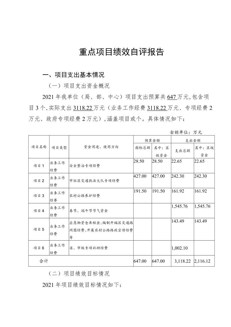 重点项目绩效自评报告.docx_第1页