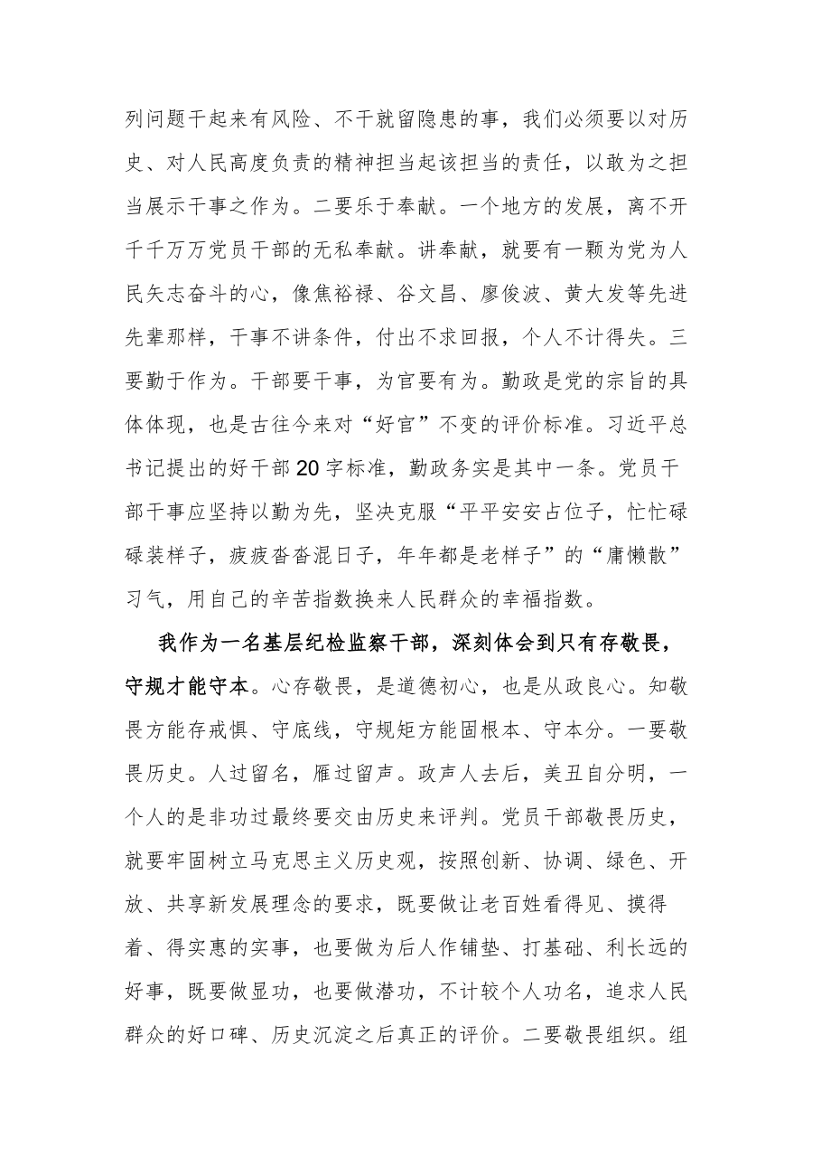 县级纪检干部教育整顿心得体会2篇.docx_第3页