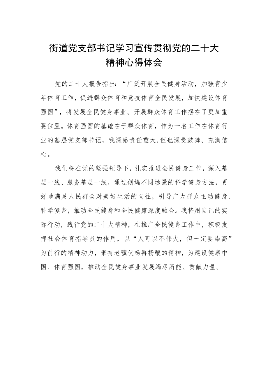 街道党支部书记学习宣传贯彻党的二十大精神心得体会.docx_第1页