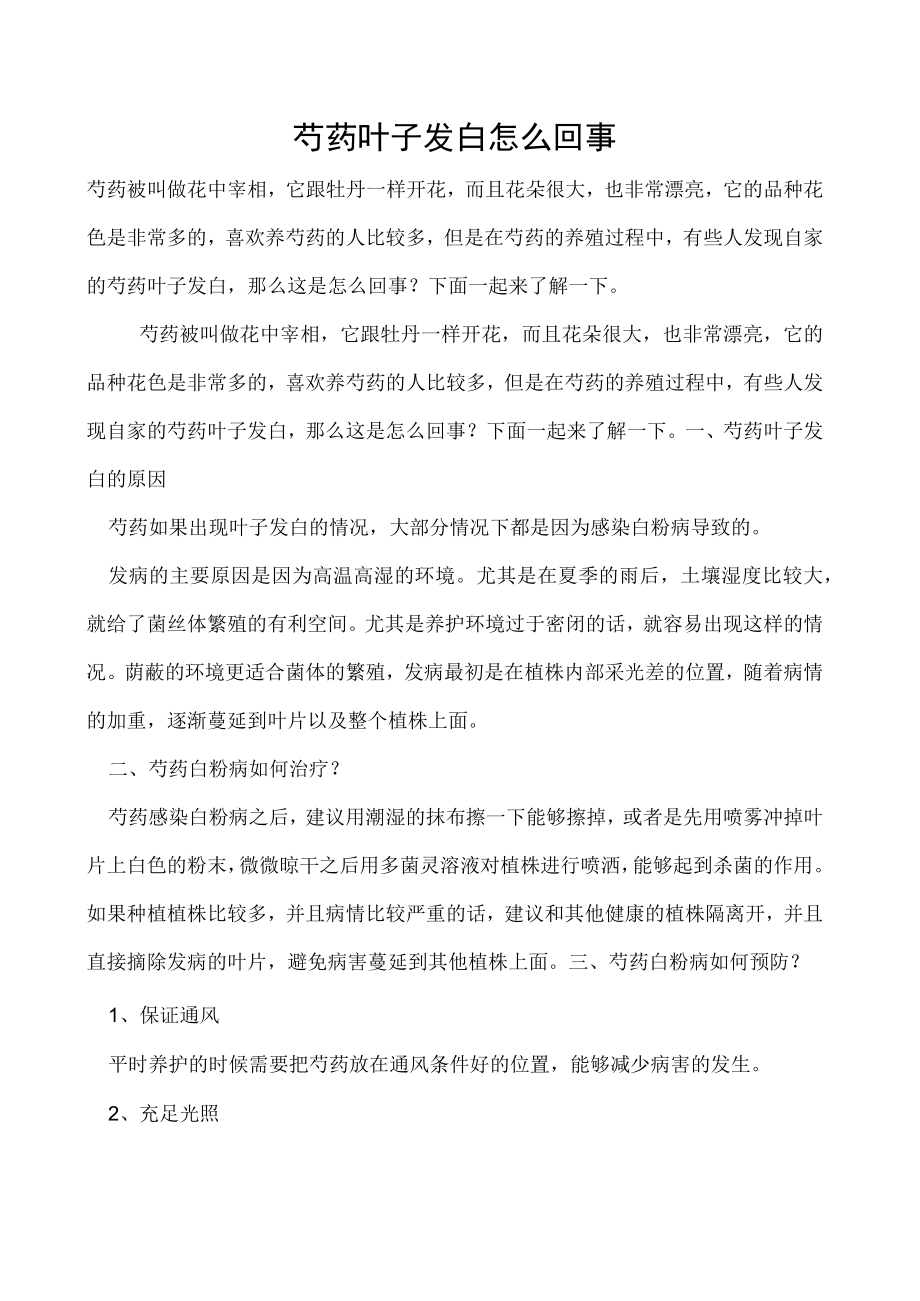 芍药叶子发白怎么回事.docx_第1页