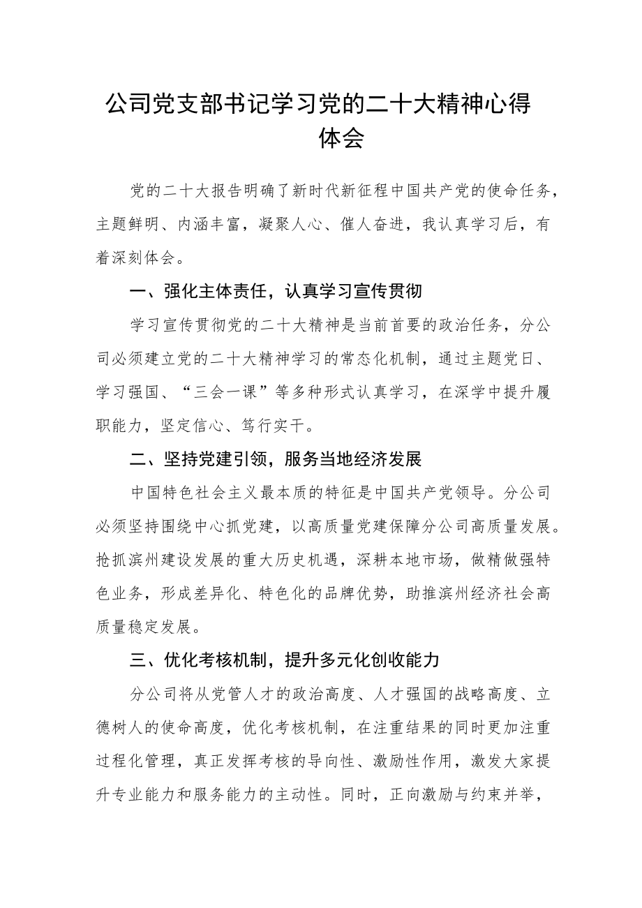 公司党支部书记学习党的二十大精神心得体会.docx_第1页
