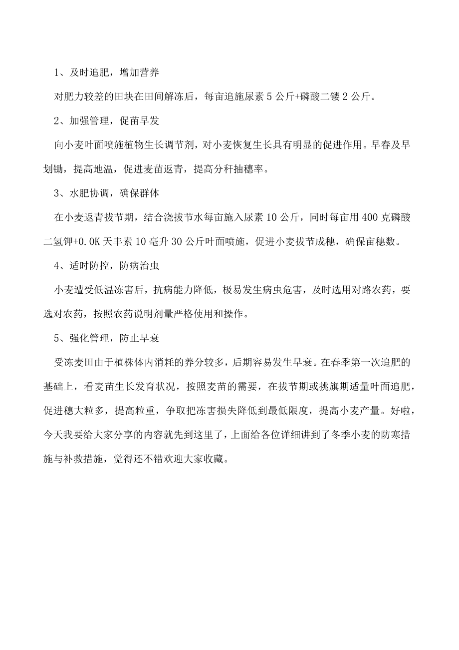 冬季小麦防寒措施.docx_第2页