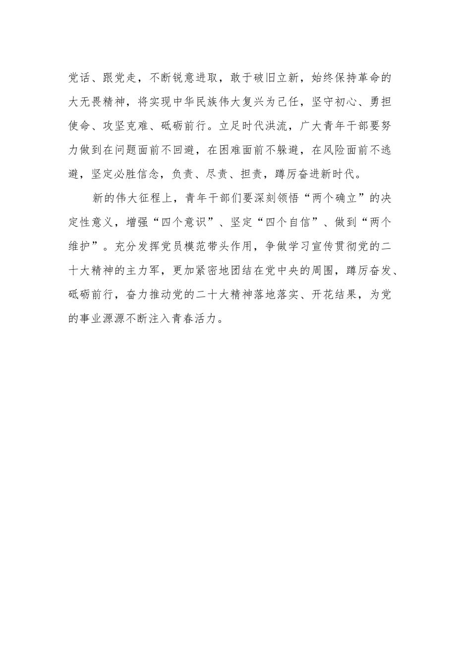 大学教师学习党的二十大精神心得体会感悟.docx_第2页