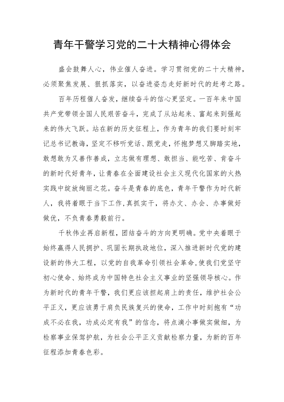 青年干警学习党的二十大精神心得体会.docx_第1页