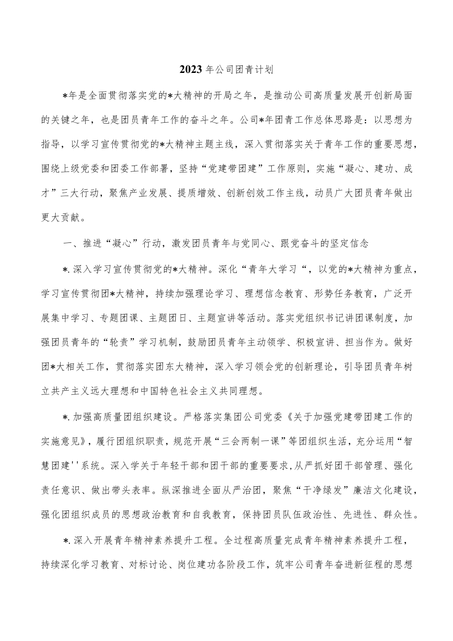 2023年公司团青计划.docx_第1页