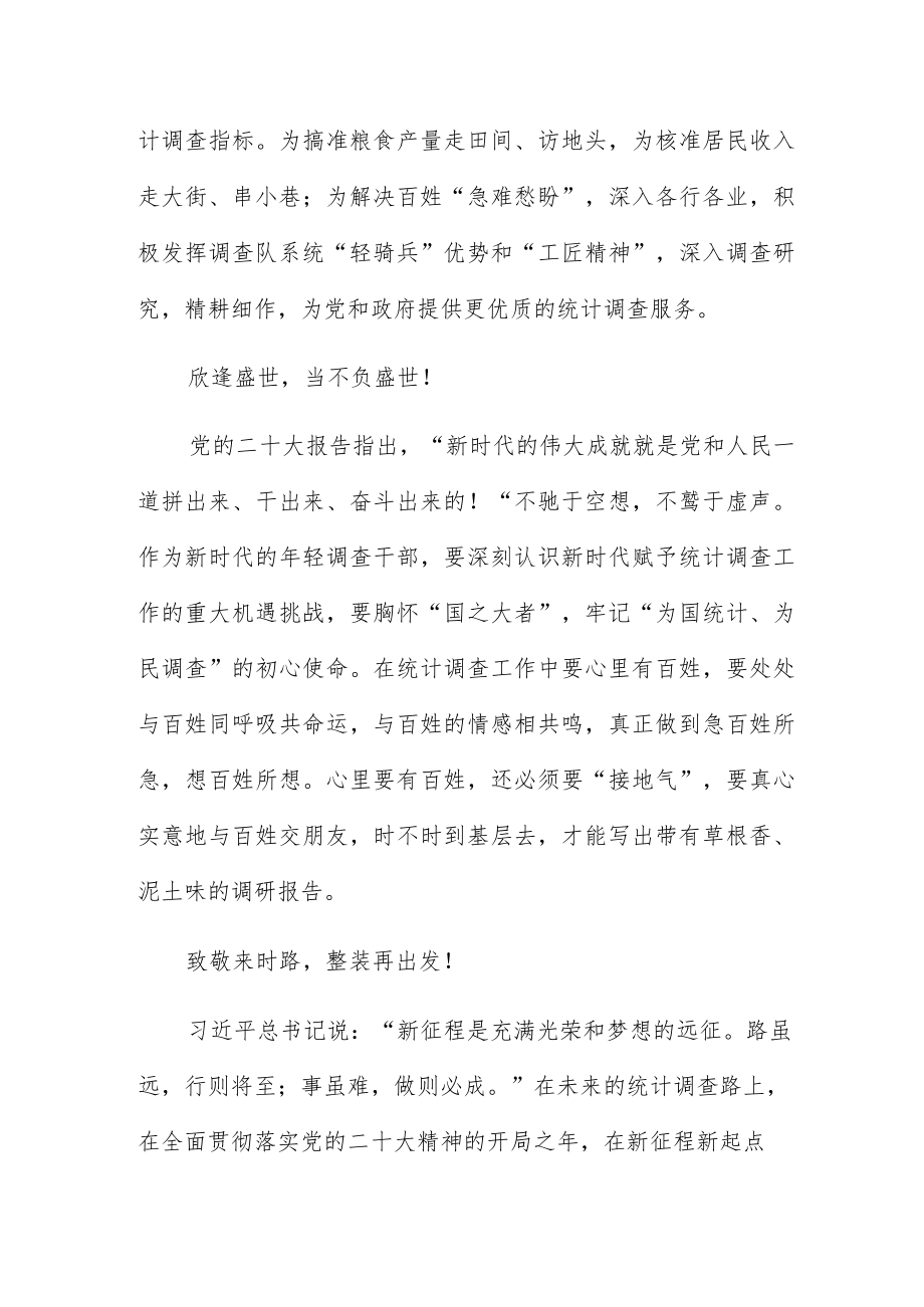 统计调查工作者学习党的二十大报告心得体会两篇.docx_第3页