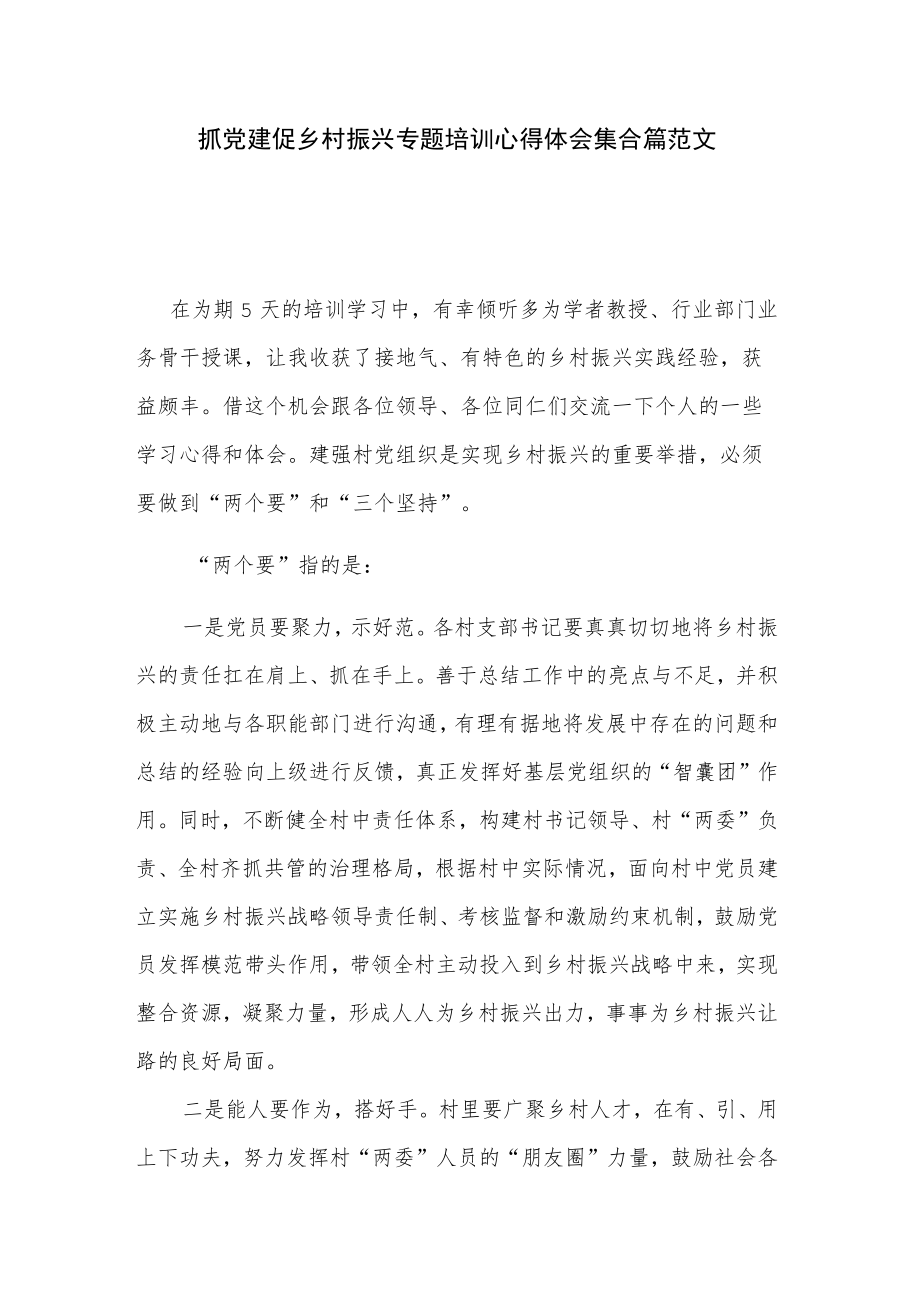 抓党建促乡村振兴专题培训心得体会集合篇范文.docx_第1页