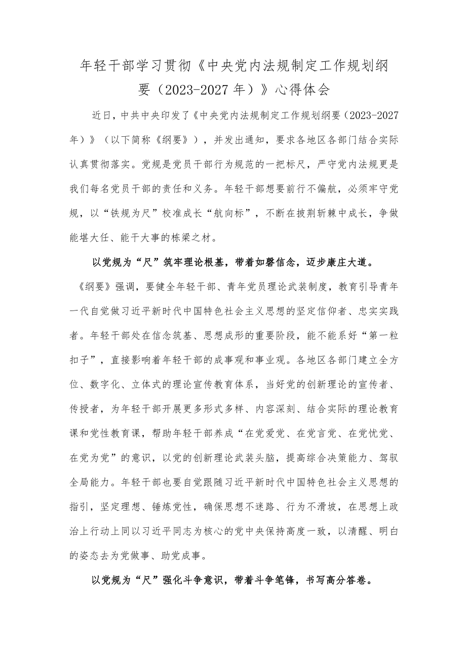 年轻干部学习贯彻《中央党内法规制定工作规划纲要（2023-2027年）》心得体会.docx_第1页