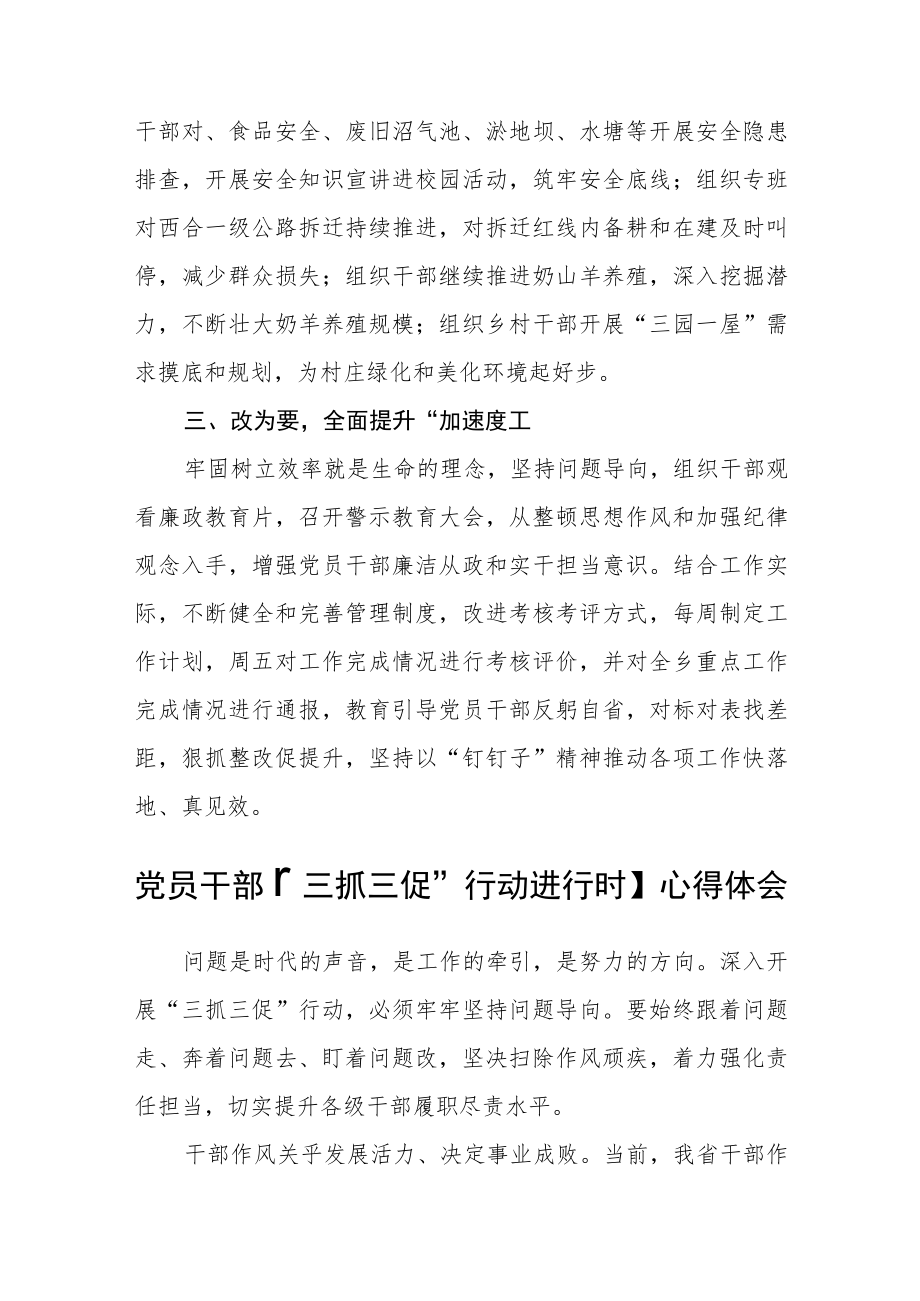 乡党员干部【“三抓三促”行动进行时】研讨发言材料通用三篇.docx_第2页