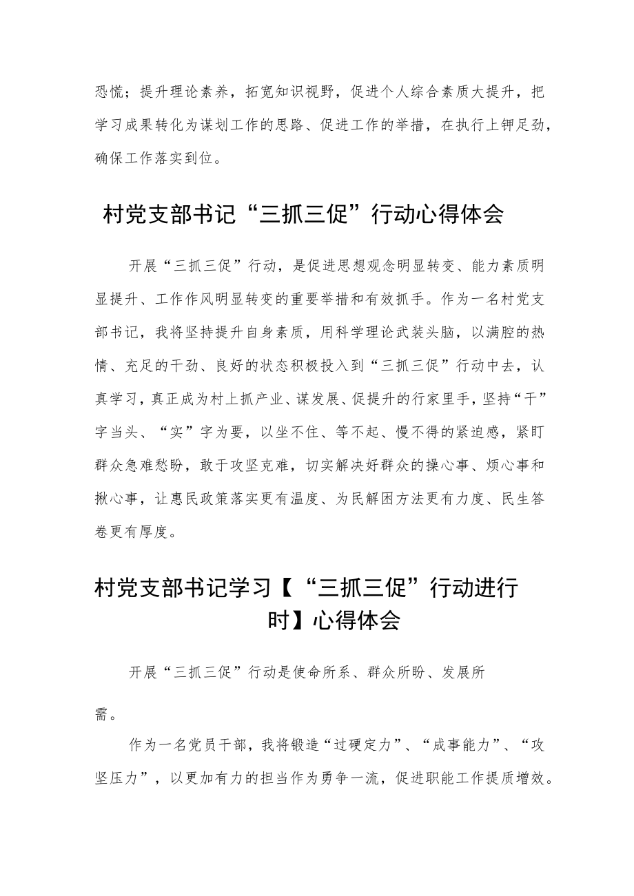 (3篇)村党支部书记【“三抓三促”行动进行时】心得体会范文.docx_第2页