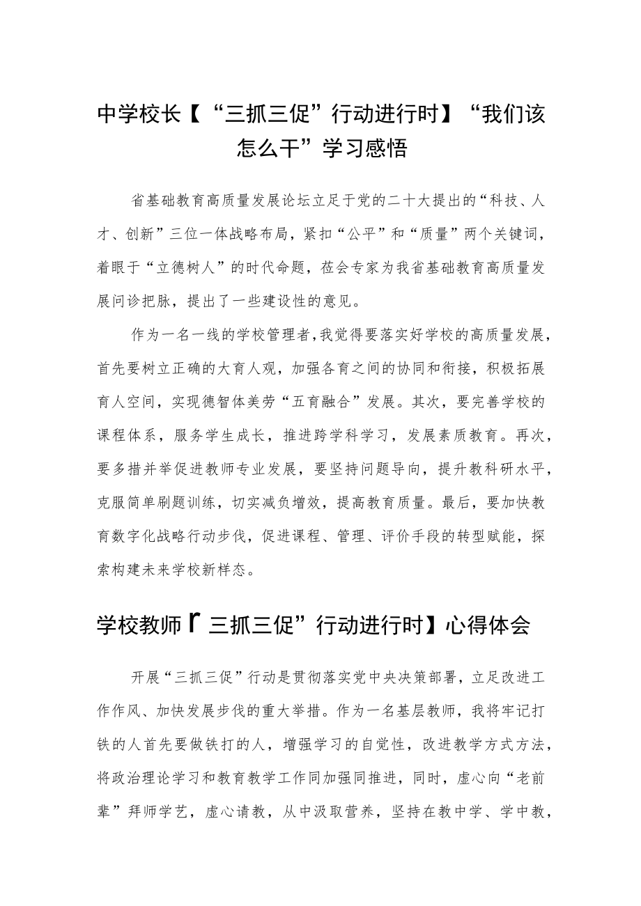 （共三篇）中学校长【“三抓三促”行动进行时】“我们该怎么干”学习感悟.docx_第1页