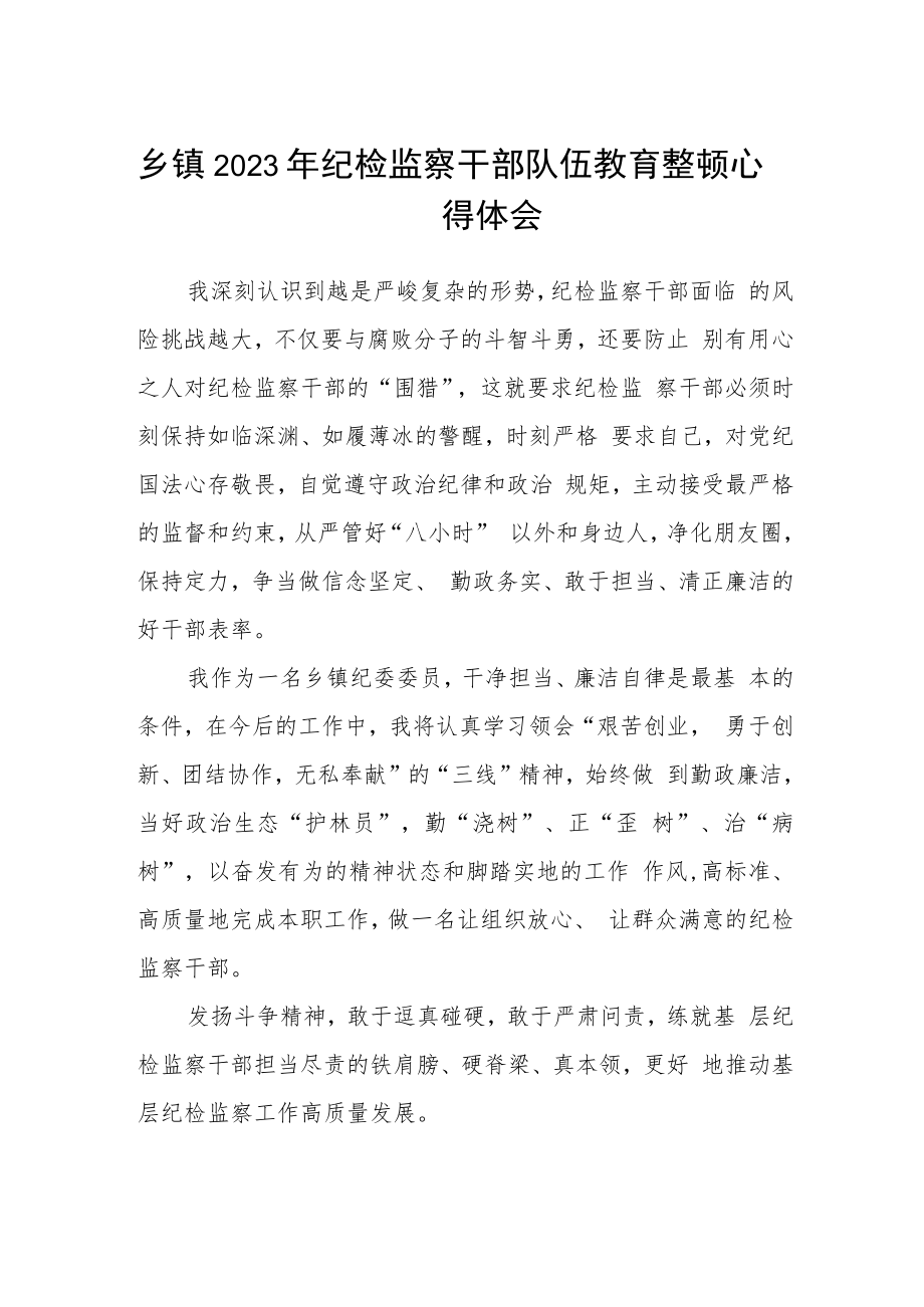 乡镇2023年纪检监察干部队伍教育整顿心得体会(精选三篇).docx_第1页