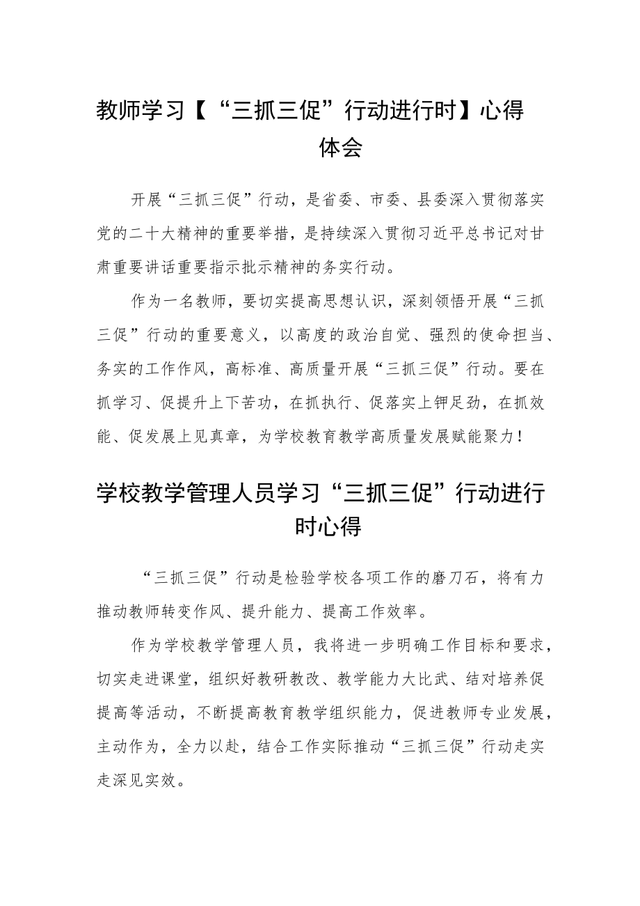 （共三篇）教师学习【“三抓三促”行动进行时】心得体会.docx_第1页