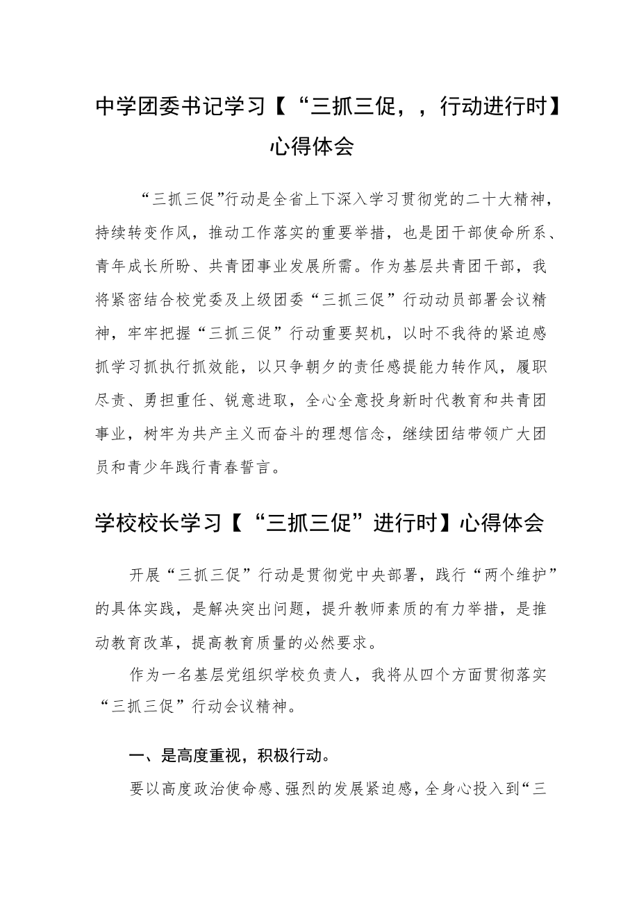 （共三篇）中学团委书记学习【“三抓三促”行动进行时】心得体会.docx_第1页