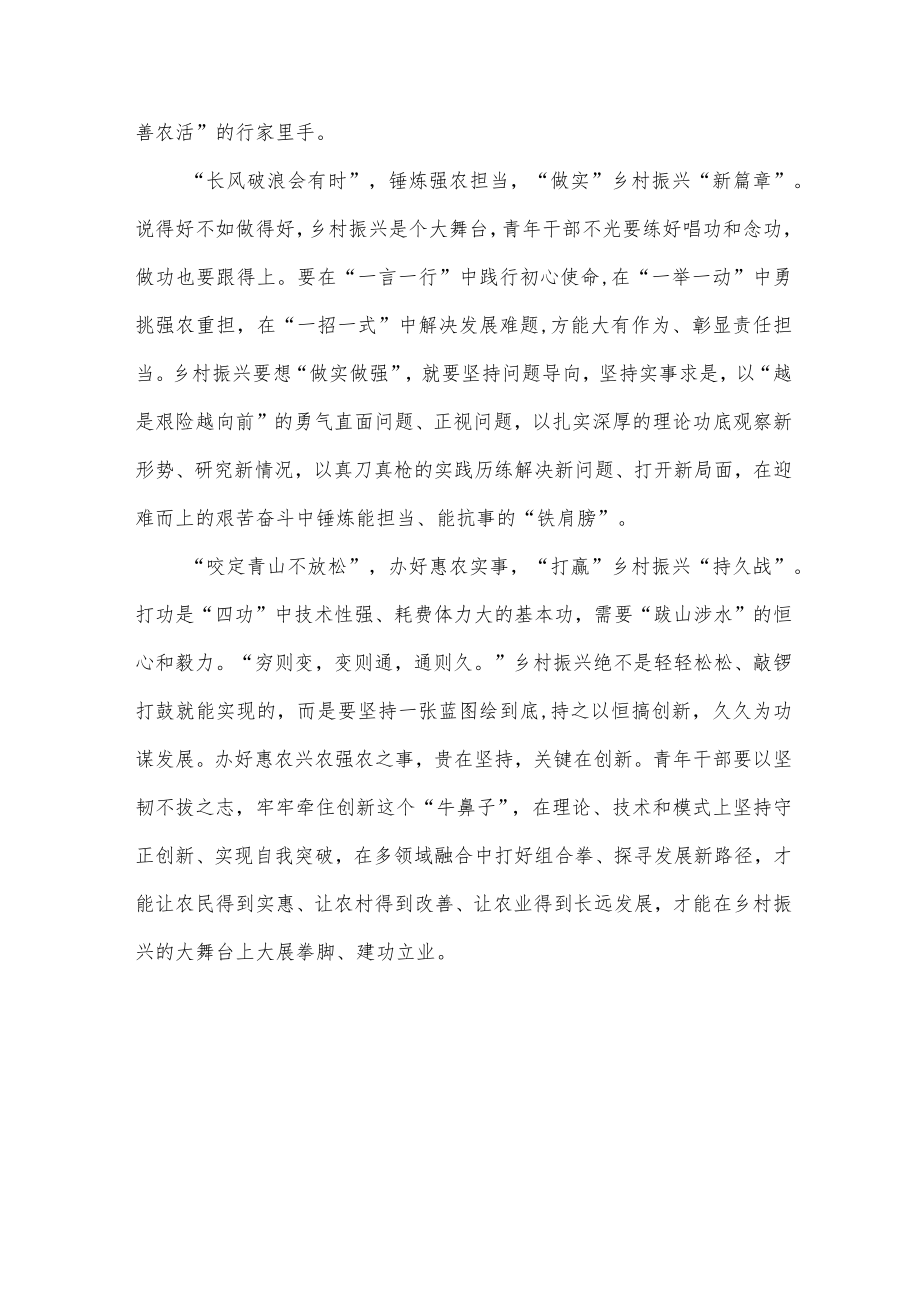 青年干部参加乡村振兴座谈会发言稿.docx_第2页