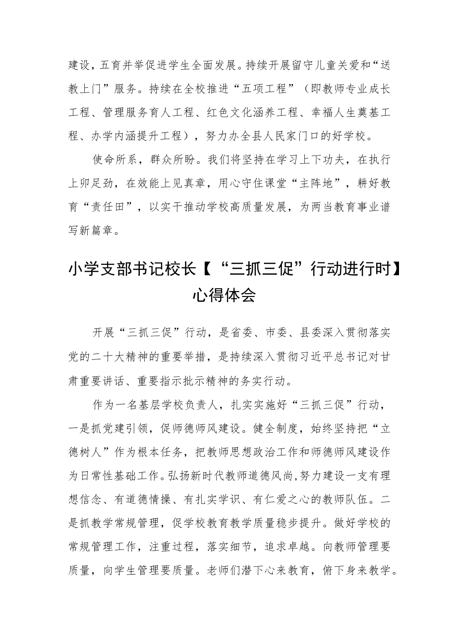 （共三篇）学校生活老师学习【“三抓三促”行动进行时】心得体会.docx_第3页