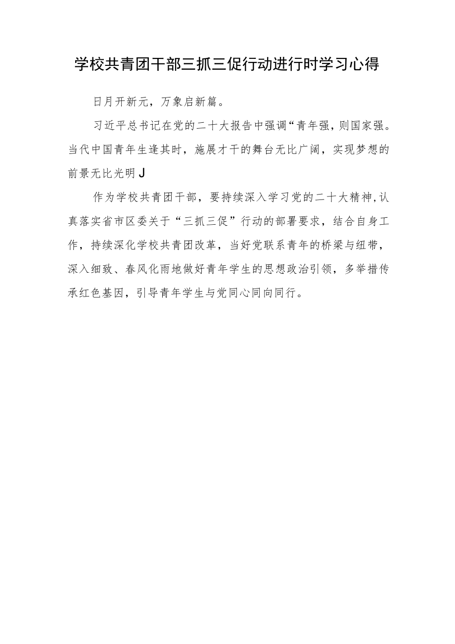 （共三篇）中学团委书记学习【“三抓三促”行动进行时】心得体会.docx_第3页