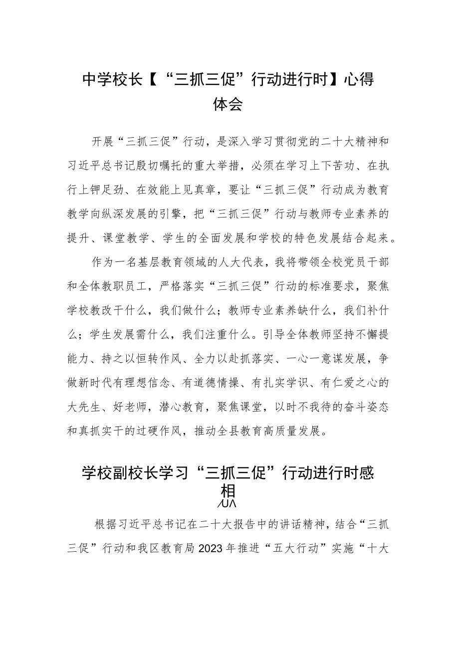 （共三篇）中学校长【“三抓三促”行动进行时】心得体会.docx_第1页