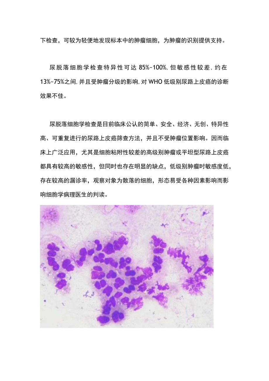 2022尿脱落细胞学检查在尿路上皮癌诊断中的作用（全文）.docx_第3页