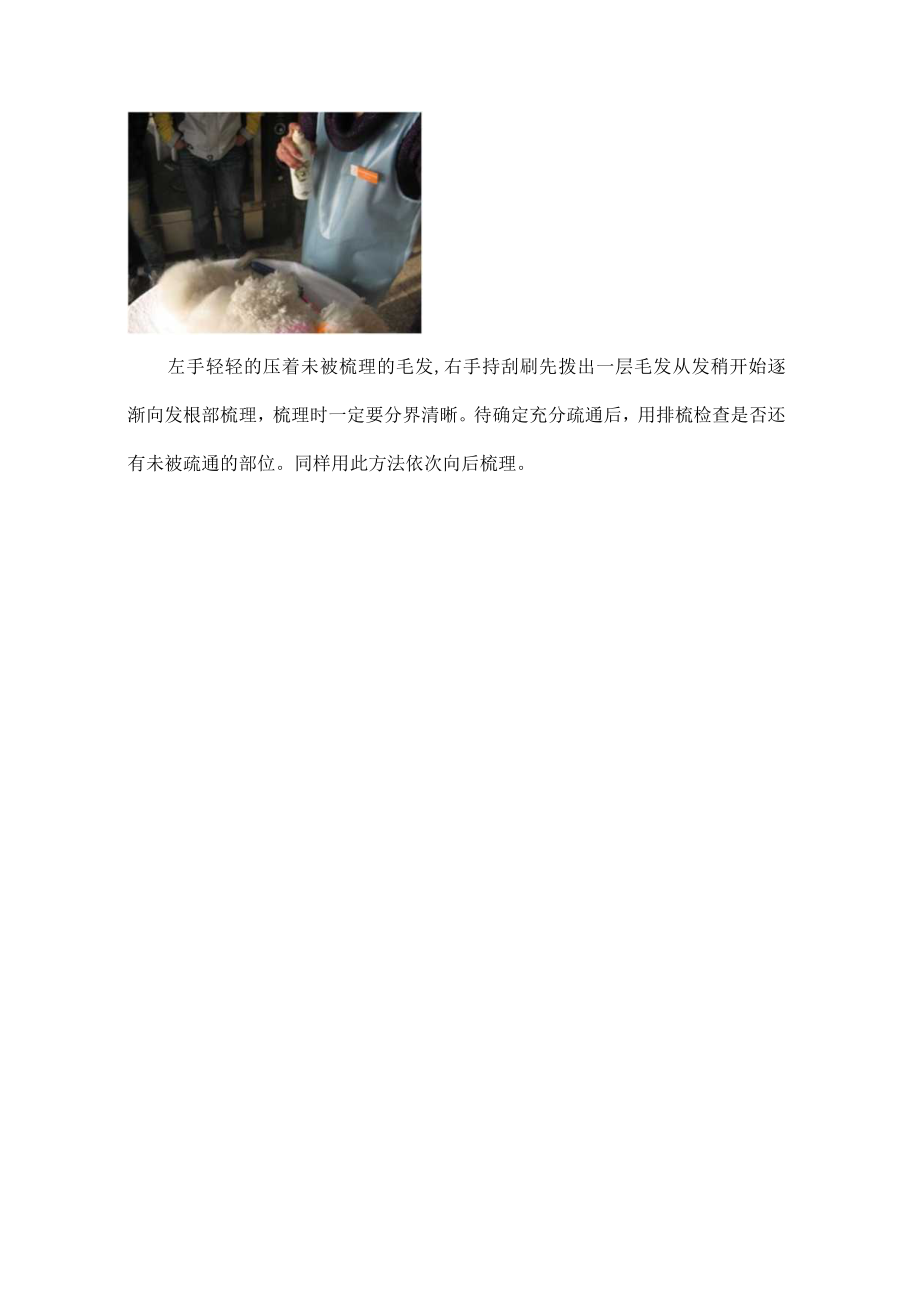 宠物犬毛梳理.docx_第3页