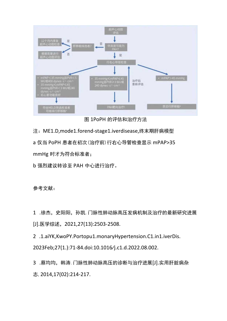 2022门静脉高压常见并发症——门脉性肺动脉高压（全文）.docx_第3页