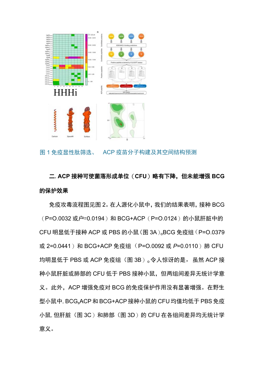 2022结核分枝杆菌新型表位疫苗ACP的构建及其免疫保护效率和免疫保护机制研究（全文）.docx_第3页