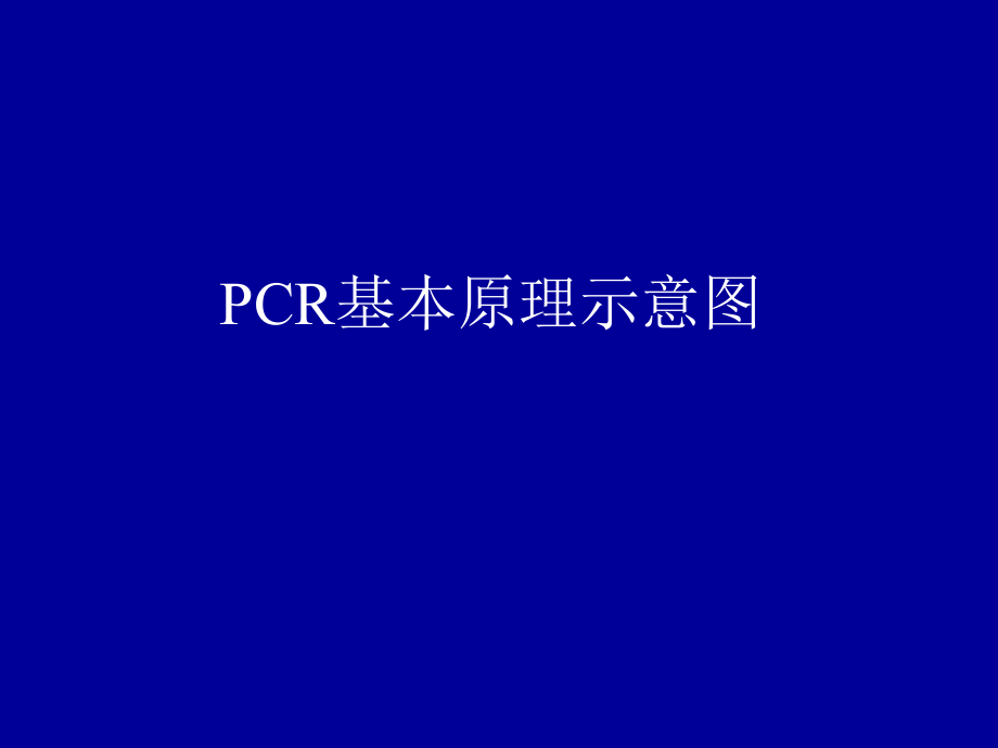 PCR基本原理示意图.ppt_第1页