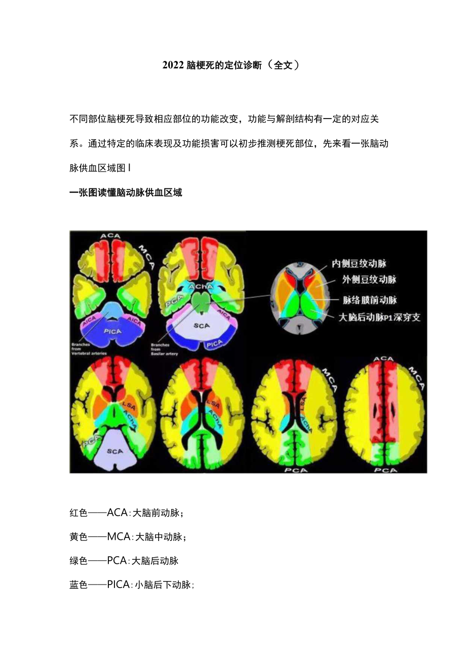 2022脑梗死的定位诊断（全文）.docx_第1页