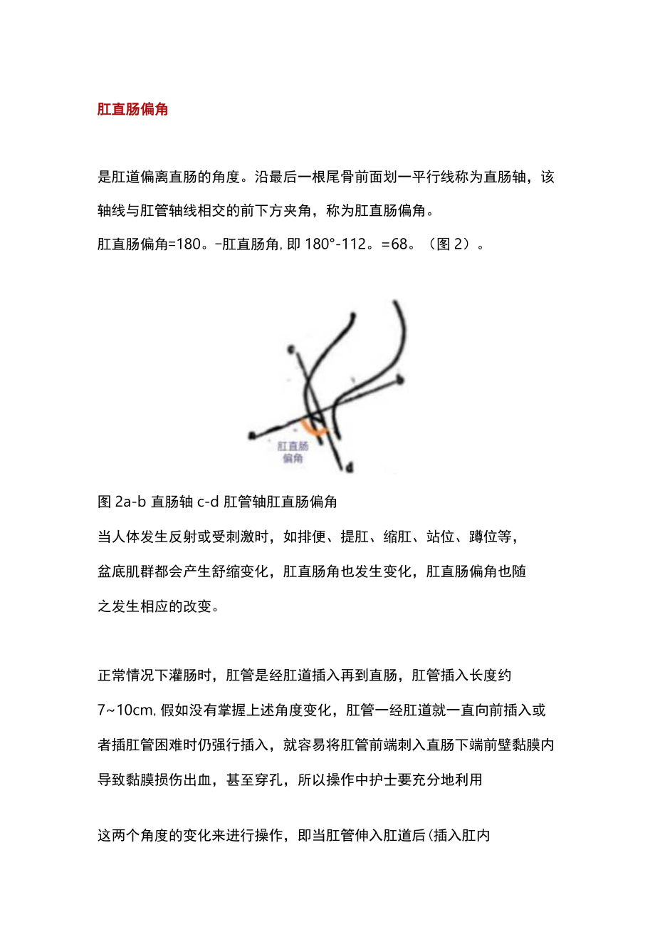 2022灌肠术操作要点（全文）.docx_第2页