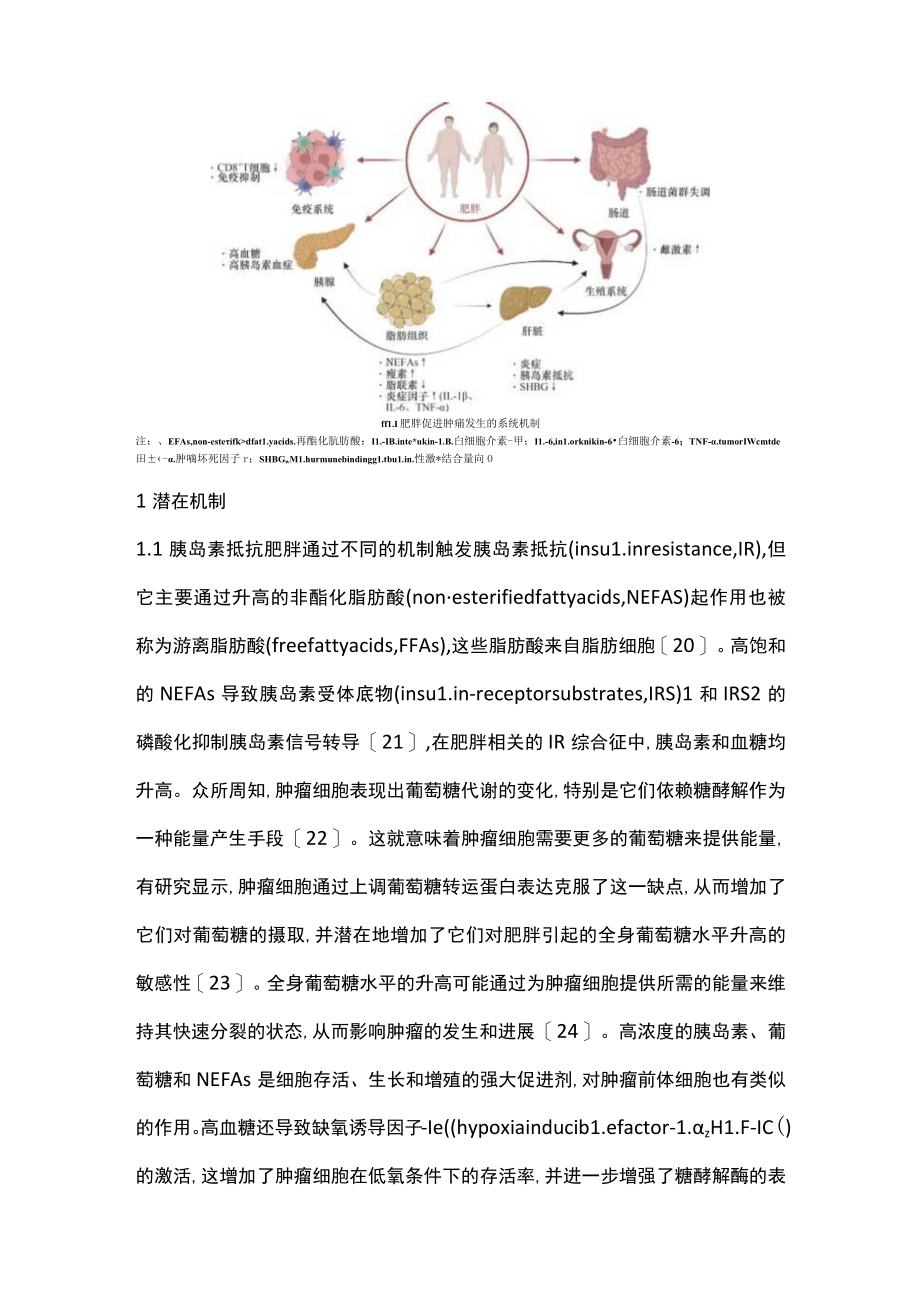 2023肥胖相关肿瘤发生机制和防治研究进展（全文）.docx_第3页