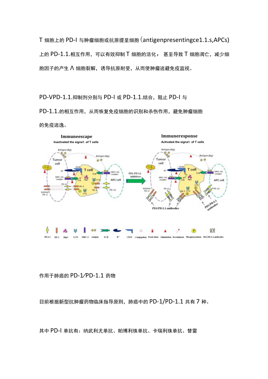 2022肺癌 PD-1PD-L1 药物（全文）.docx_第2页