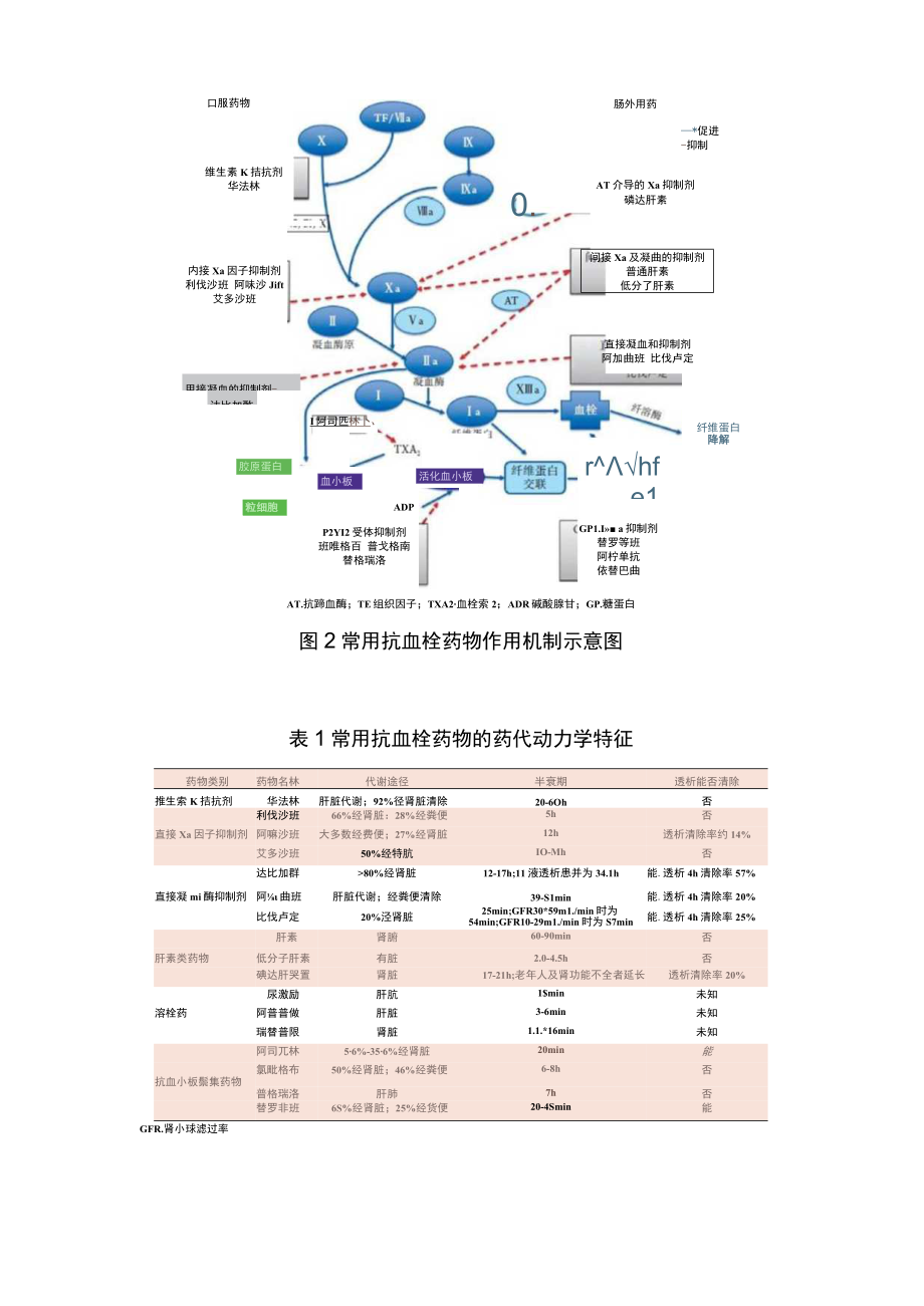 2023抗血栓药物相关出血的诊疗规范（全文）.docx_第2页