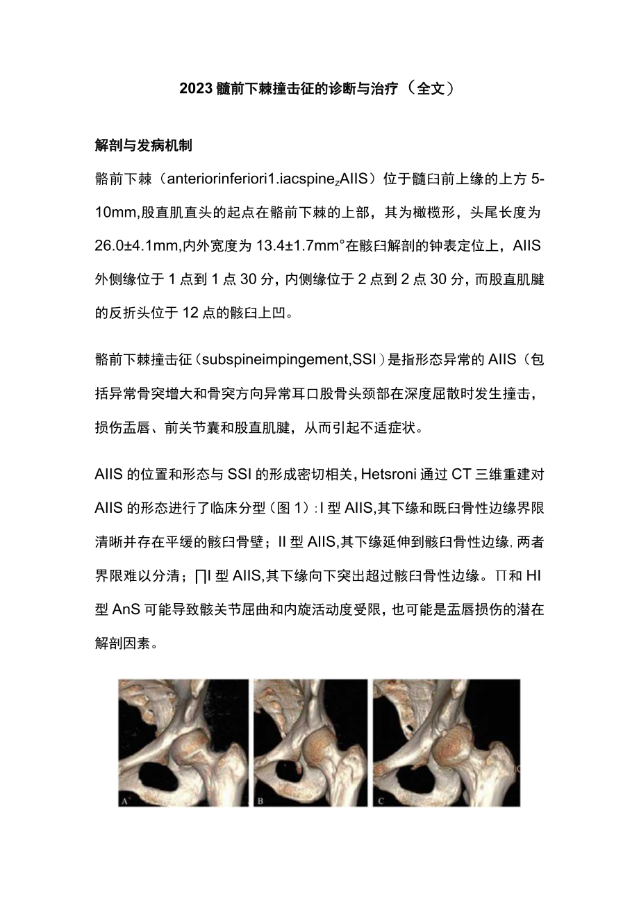 2023髂前下棘撞击征的诊断与治疗（全文）.docx_第1页