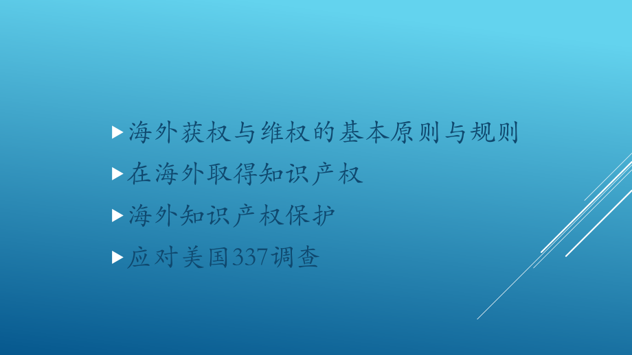 海外知识产权布局策略.pptx_第2页