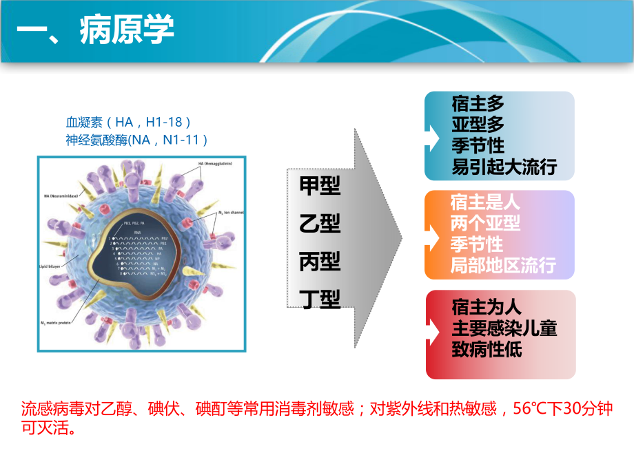 流感指南.pptx_第3页