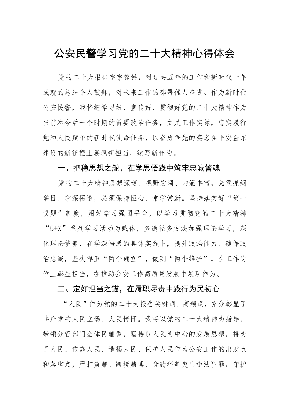 公安民警学习党的二十大精神心得体会（3篇）范文.docx_第1页