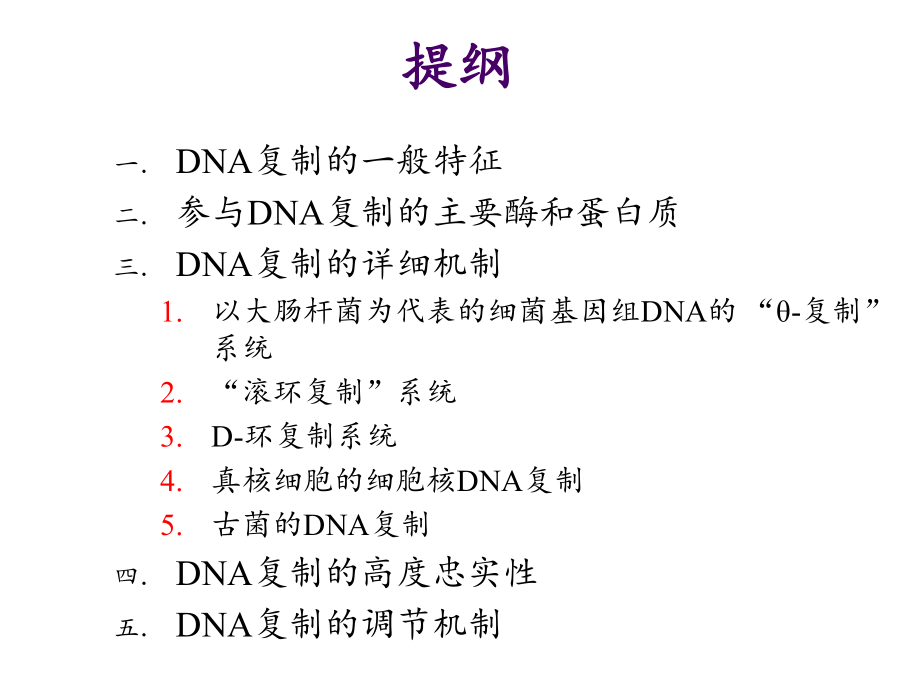 生物竞赛生物化学33DNA复制顶级资源《生物化学原理(第二版)(三)》.ppt_第2页