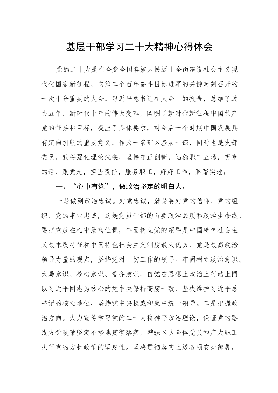 基层干部学习二十大精神心得体会.docx_第1页