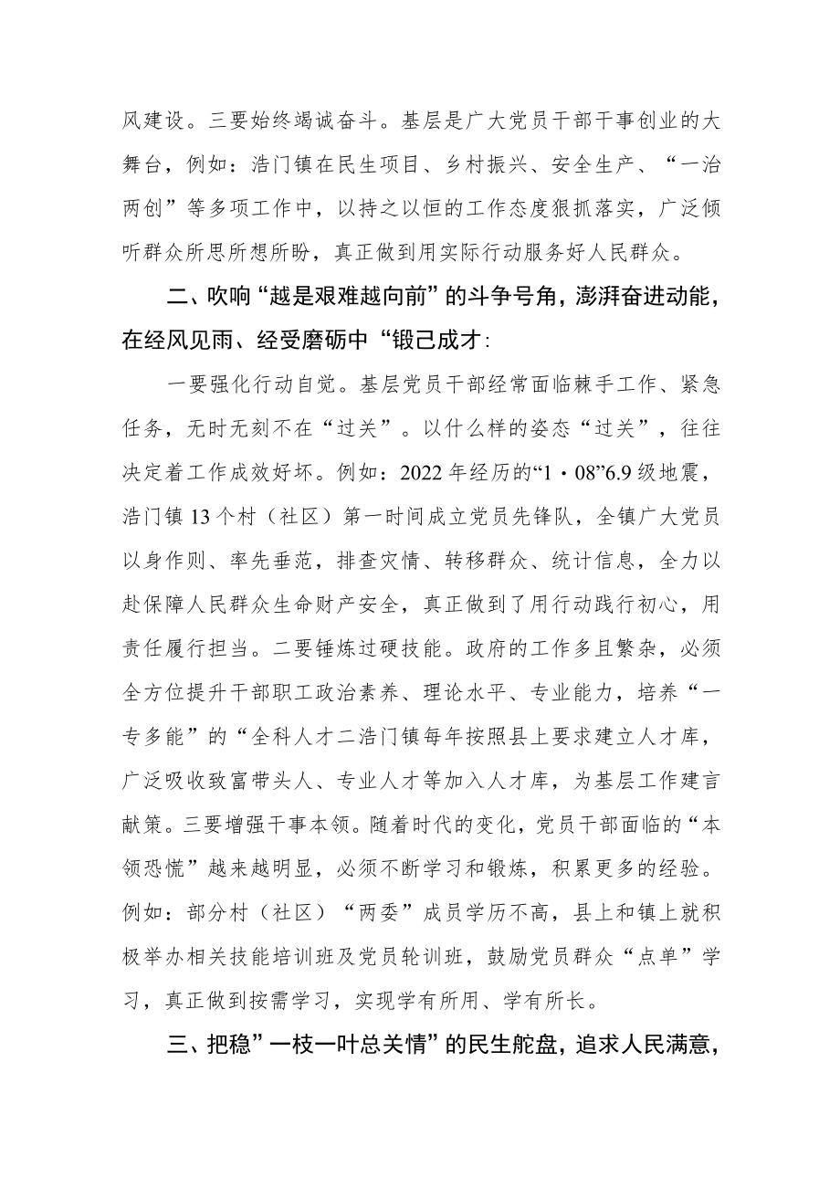 乡镇党委书记学习党的二十大精神心得体会（3篇）.docx_第2页