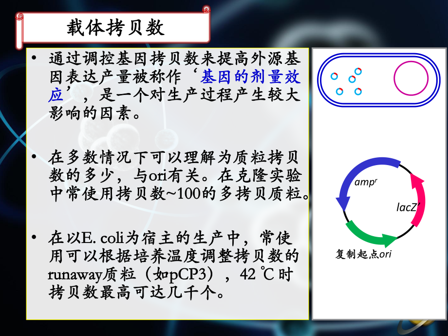 蛋白质工程培训课件.pptx_第3页