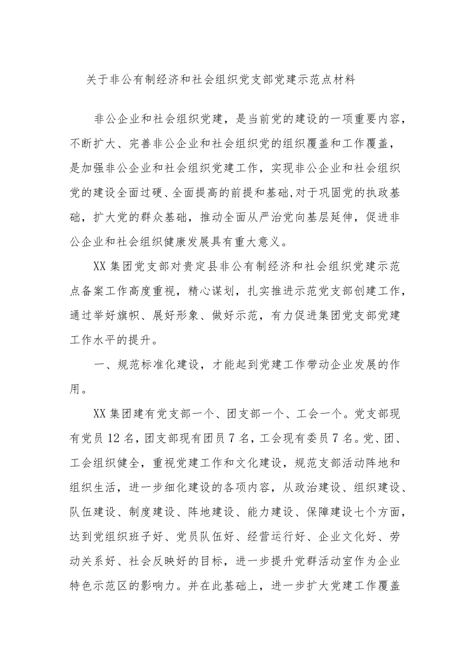 关于非公有制经济和社会组织党支部党建示范点材料.docx_第1页