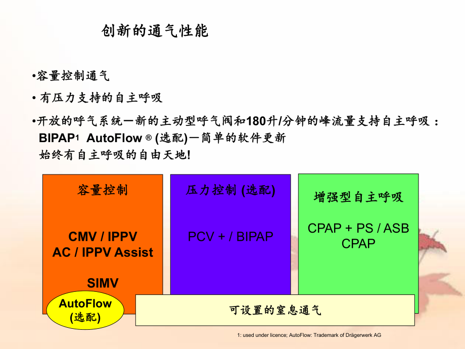 呼吸机使用说明Drager德尔.ppt_第3页