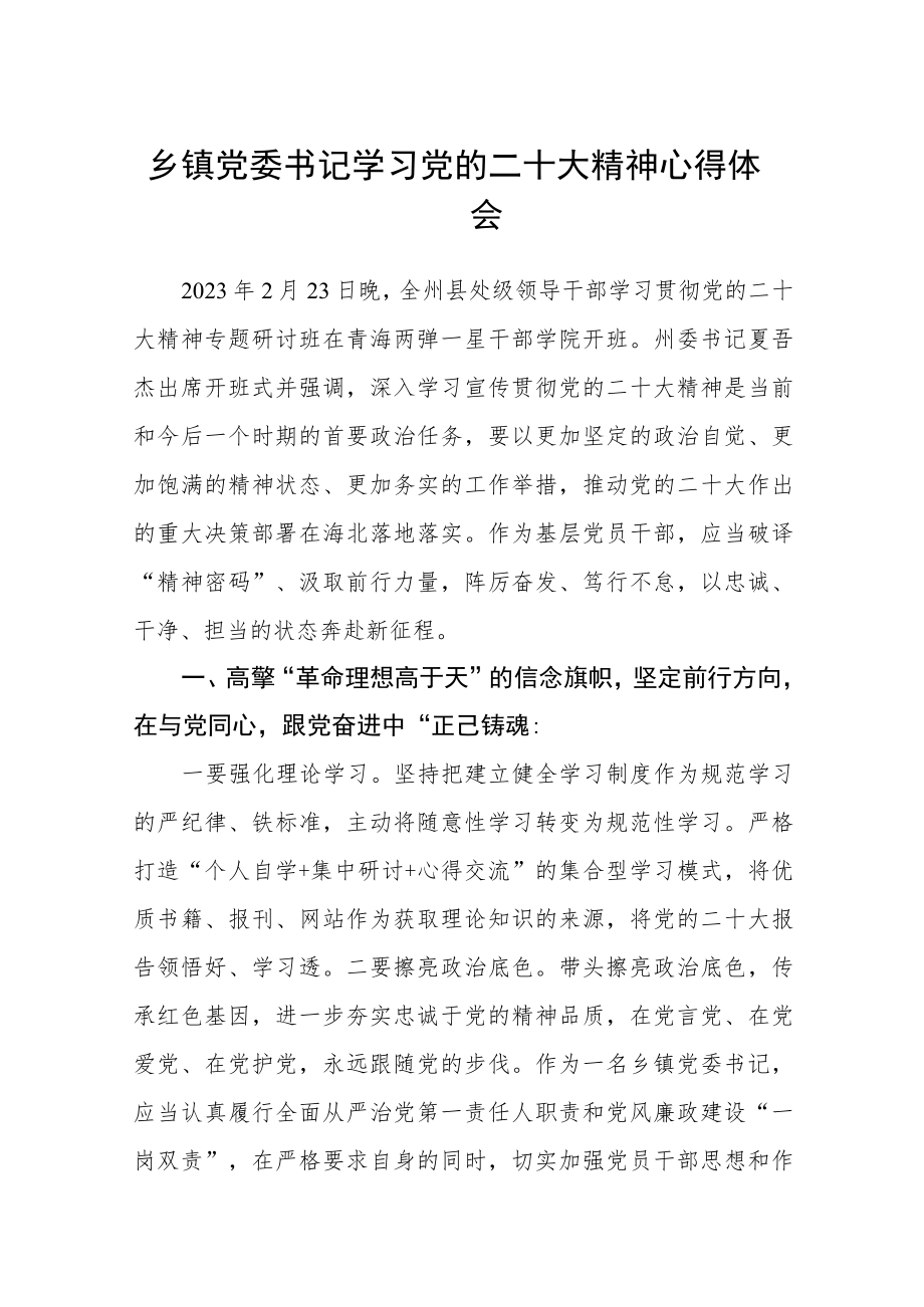 乡镇党委书记学习党的二十大精神心得体会（3篇）.docx_第1页